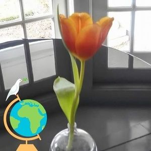 Meet your Posher, Merle